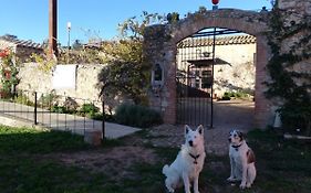 Mas Del Llop Blanc - Dog Friendly Hostal Rural - B&B